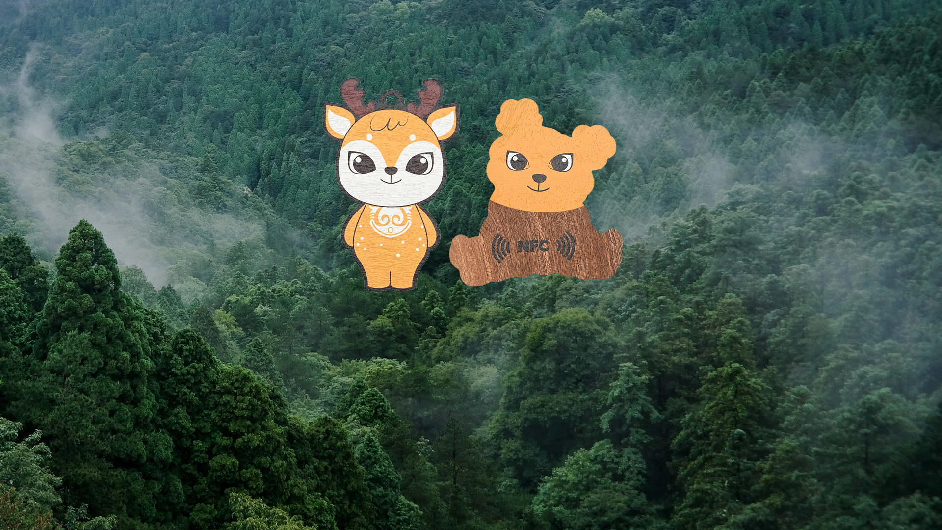 微信图片_20250317155750