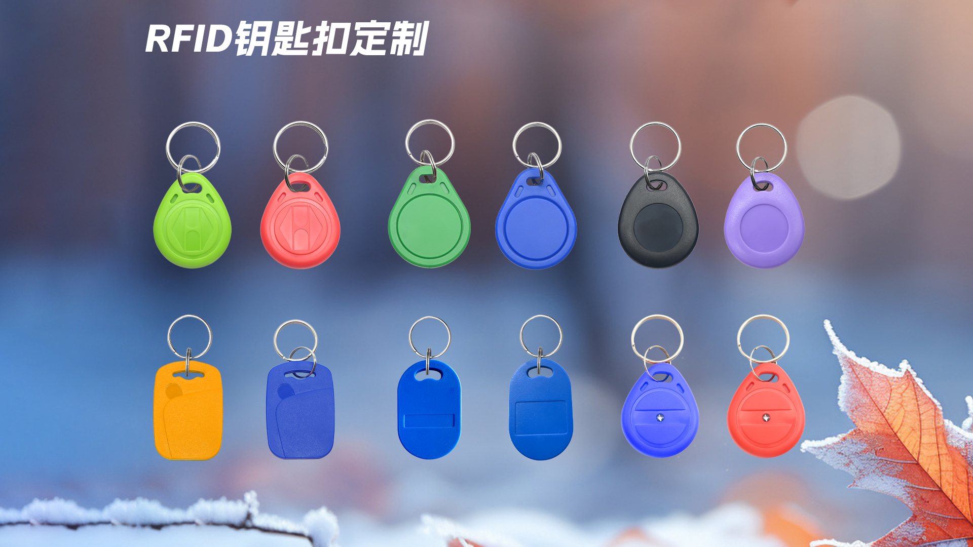 微信图片_20251021151059_624_127